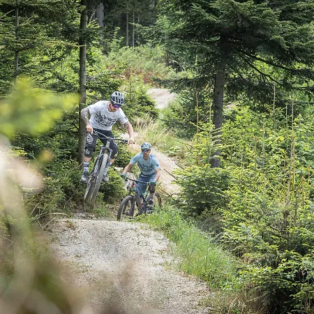 Gasthof Wiesenhofer Estalagem