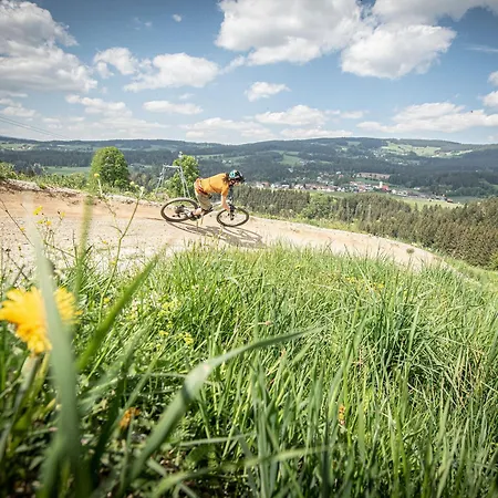 Gasthof Wiesenhofer Värdshus Miesenbach (Styria)