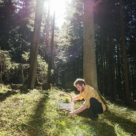 Gasthof Wiesenhofer * Miesenbach (Styria)