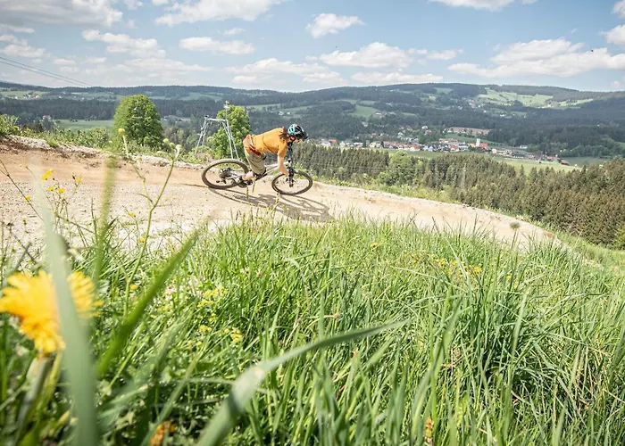 Gasthof Wiesenhofer Locanda Miesenbach (Styria)