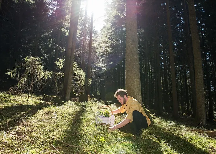 Gasthof Wiesenhofer * Miesenbach (Styria)